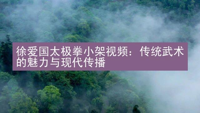 徐爱国太极拳小架视频：传统武术的魅力与现代传播